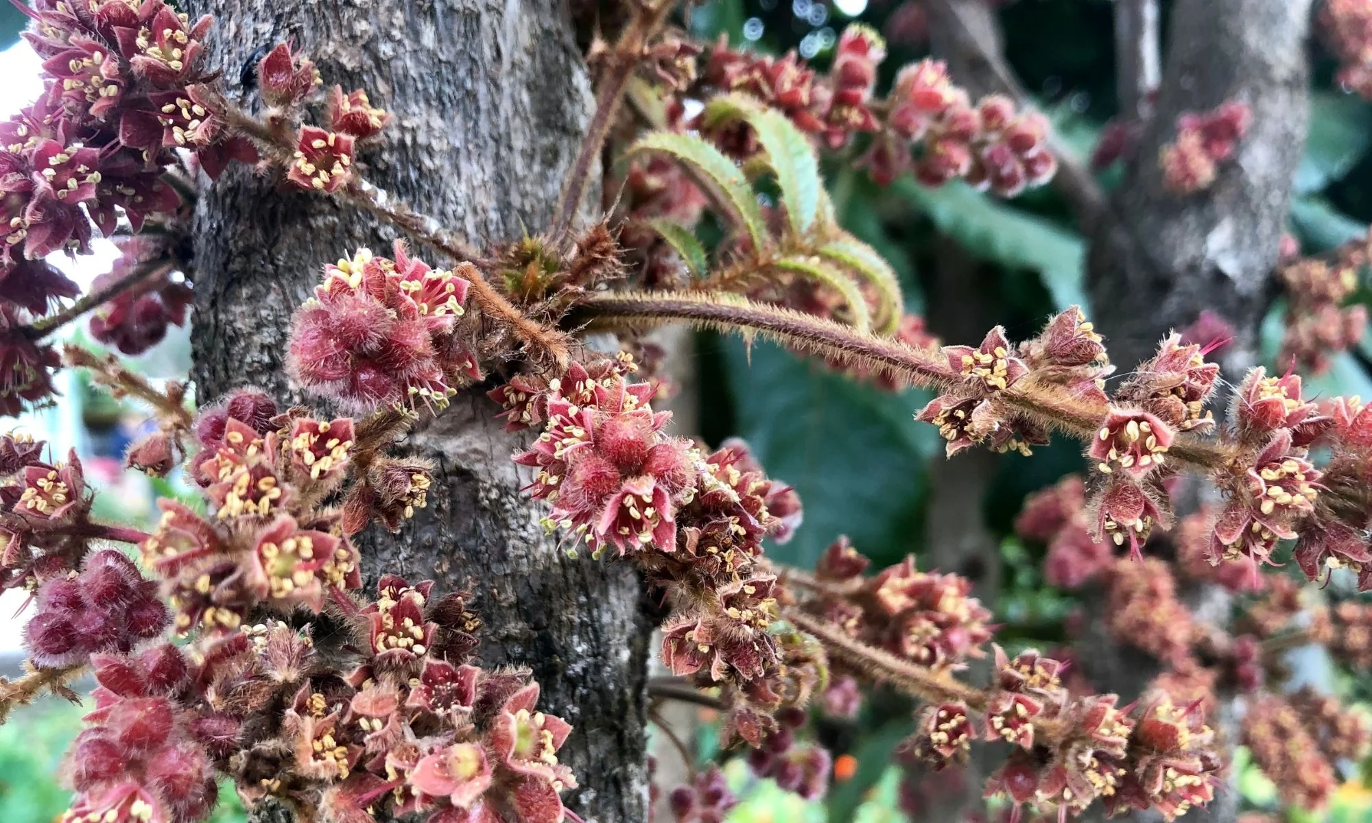 Welcome to Our Store