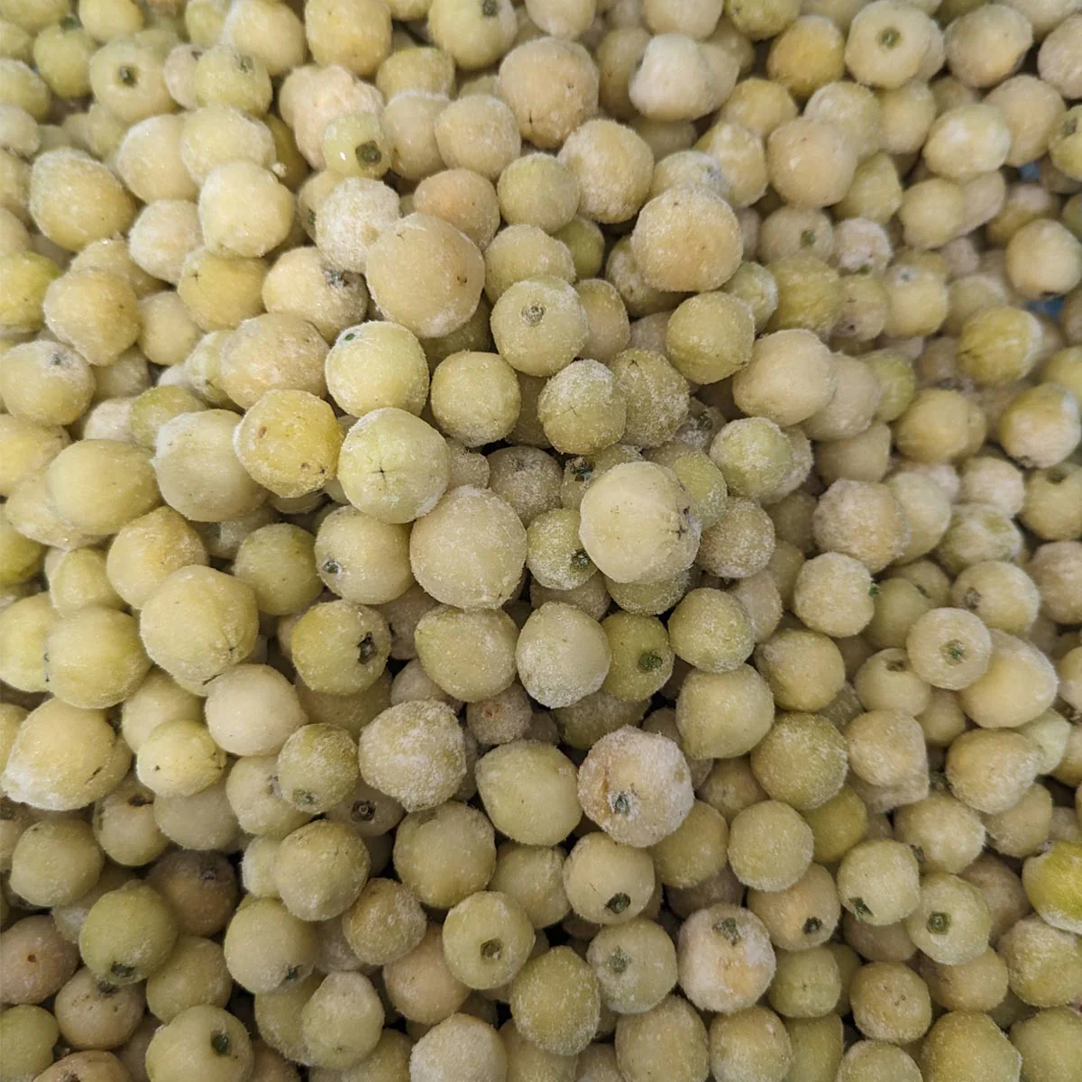 Frozen Lemon Aspen Fruit (15kg) - Image 3